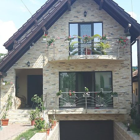 Vila Alexia Hotel Călimăneşti Esterno foto