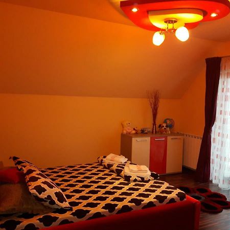 Vila Alexia Hotel Călimăneşti Esterno foto