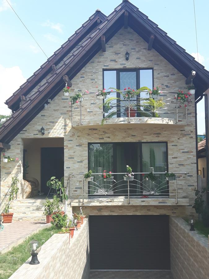 Vila Alexia Hotel Călimăneşti Esterno foto