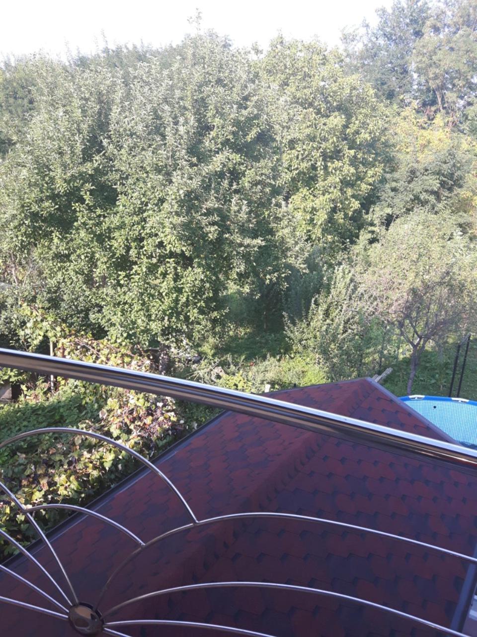 Vila Alexia Hotel Călimăneşti Esterno foto