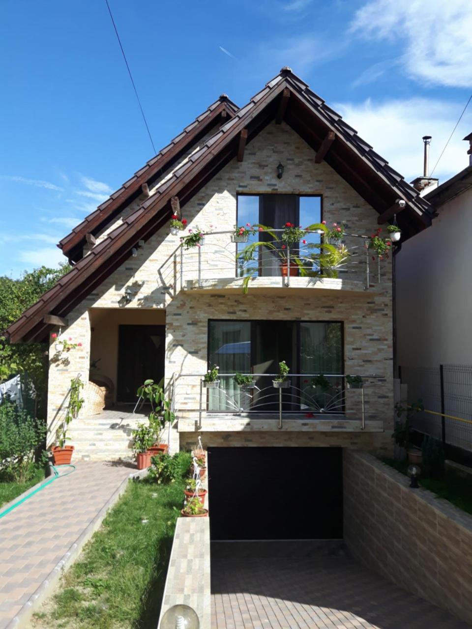 Vila Alexia Hotel Călimăneşti Esterno foto