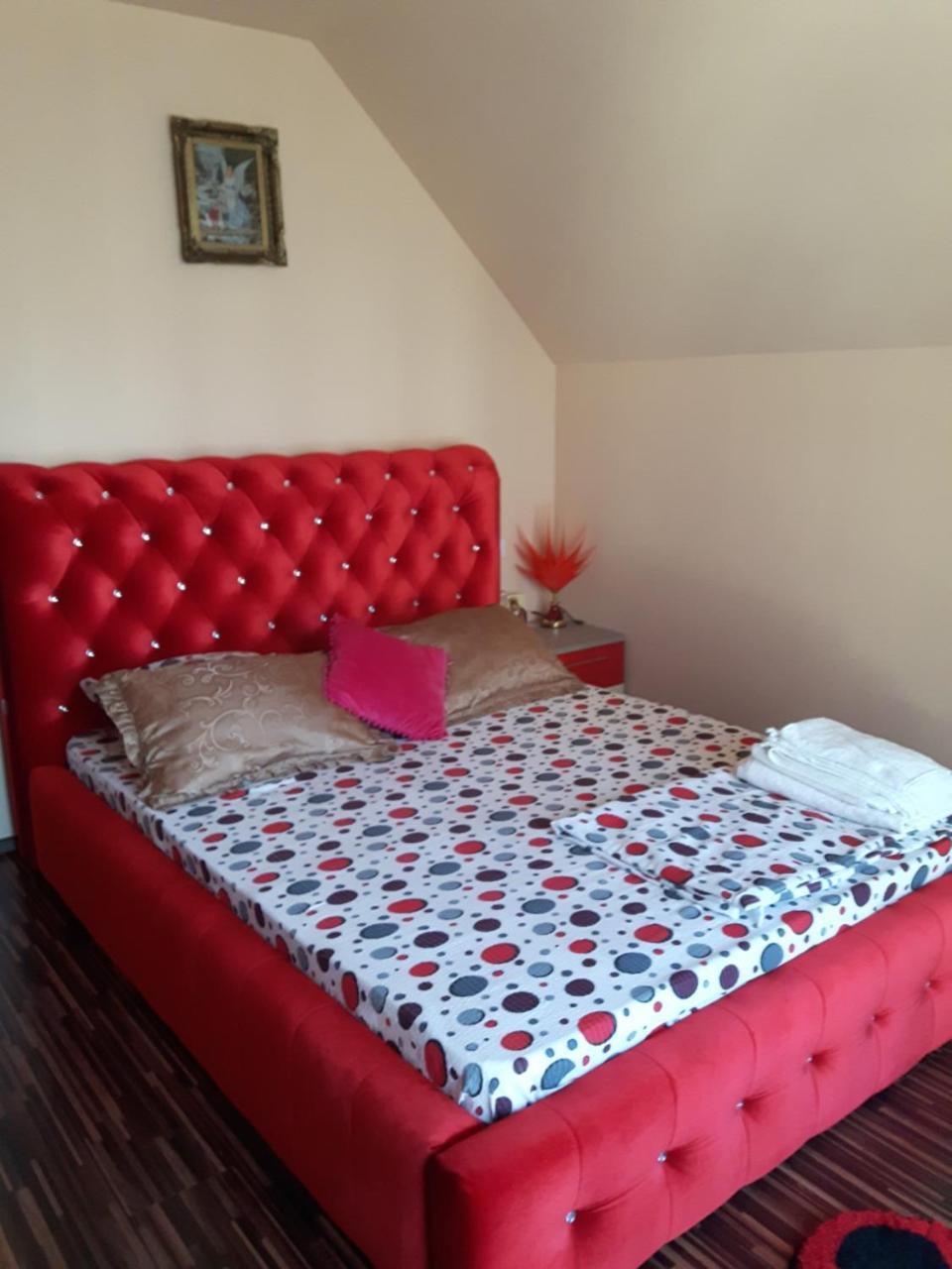 Vila Alexia Hotel Călimăneşti Esterno foto
