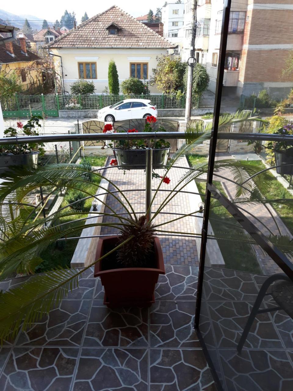 Vila Alexia Hotel Călimăneşti Esterno foto