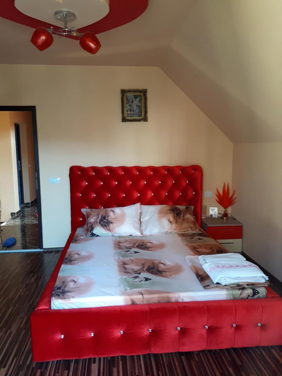 Vila Alexia Hotel Călimăneşti Esterno foto
