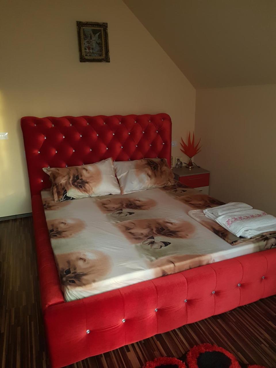 Vila Alexia Hotel Călimăneşti Esterno foto