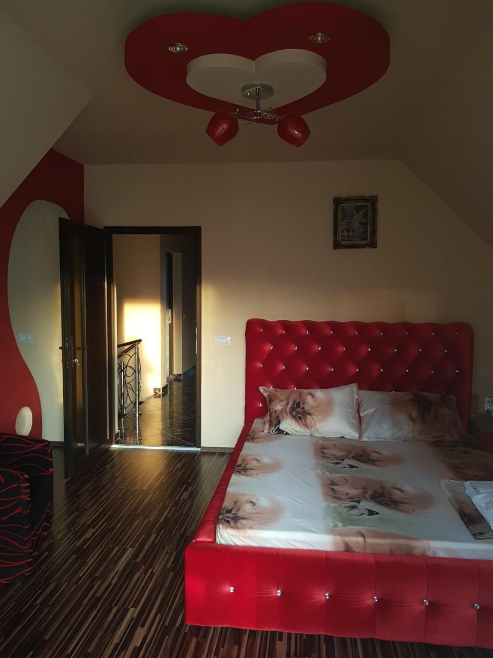 Vila Alexia Hotel Călimăneşti Esterno foto