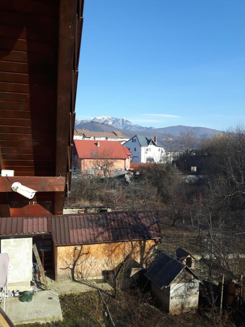 Vila Alexia Hotel Călimăneşti Esterno foto